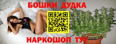бошки Краснодар