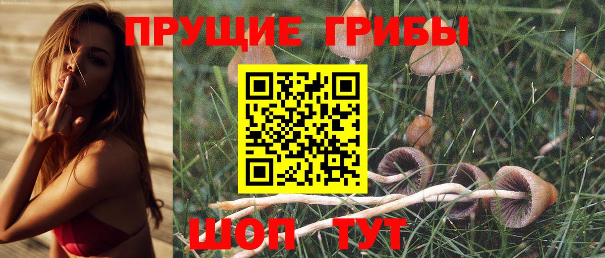 Галлюциногенные грибы GOLDEN TEACHER  Вход с VPN  Алапаевск 