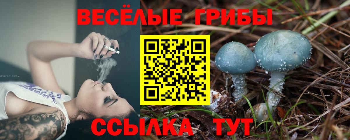 Псилоцибиновые грибы мицелий Алапаевск